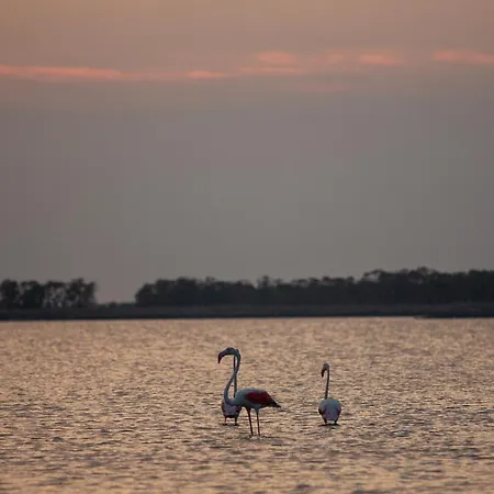 Flat A Due Passi Dalla Spiaggia! Apartment *