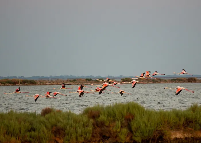 Lejlighed Guesthost - Flat A Due Passi Dalla Spiaggia! *