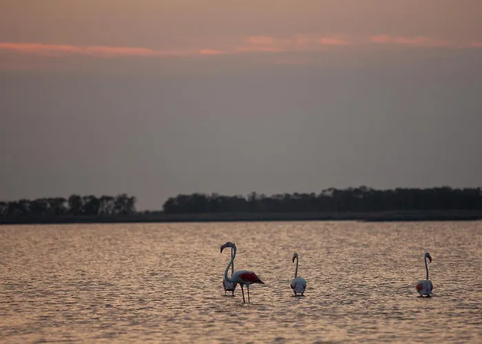 Guesthost - Flat A Due Passi Dalla Spiaggia! Lejlighed *