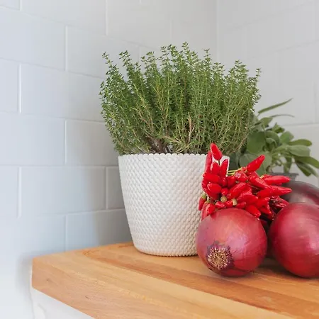 Flat A Due Passi Dalla Spiaggia! * Лидо-ди-Помпоза