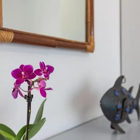 Flat A Due Passi Dalla Spiaggia! Appartement