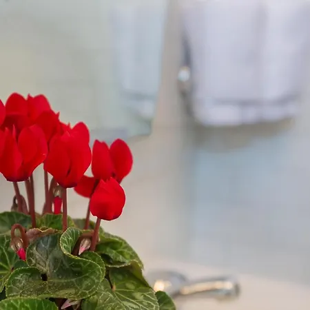 Flat A Due Passi Dalla Spiaggia! Apartman *