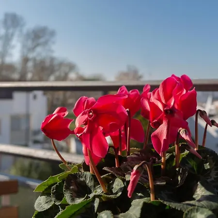 Flat A Due Passi Dalla Spiaggia! Apartman Lido di Pomposa