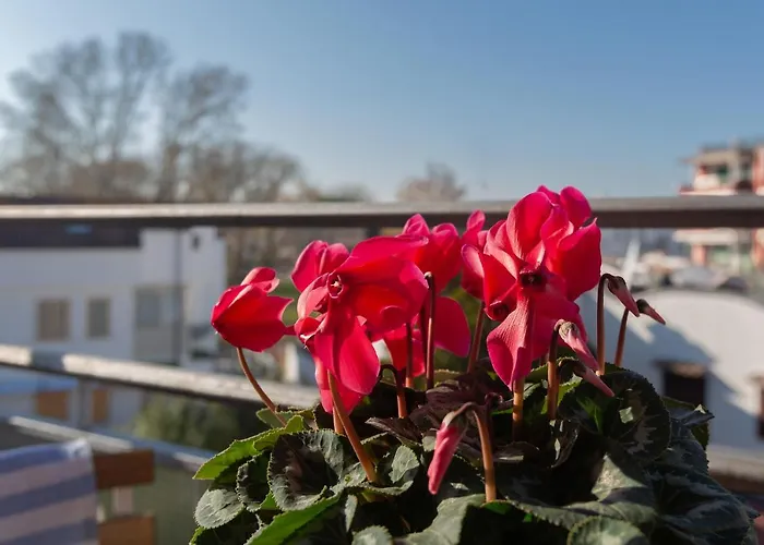 Guesthost - Flat A Due Passi Dalla Spiaggia! Appartement Lido di Pomposa